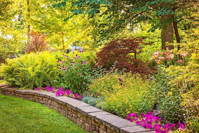 Landscaped garden with planted borders and a stone retaining wall